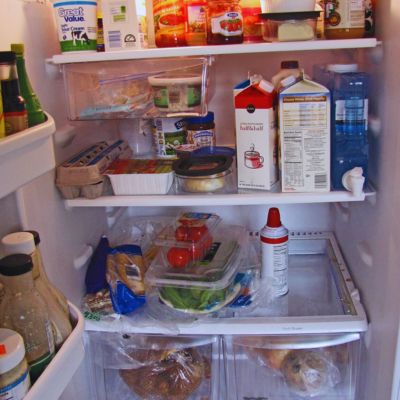 managed my refrigerator